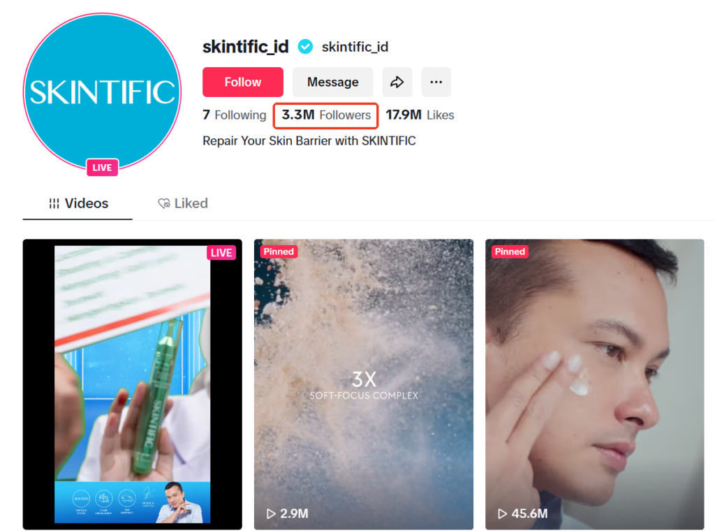 글로벌 마케팅 성공 사례